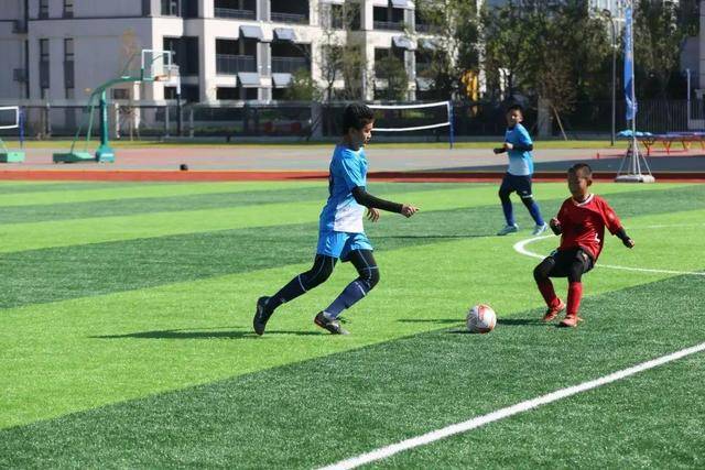 苏群：周琦去向总局仲裁庭明天将会给出结论